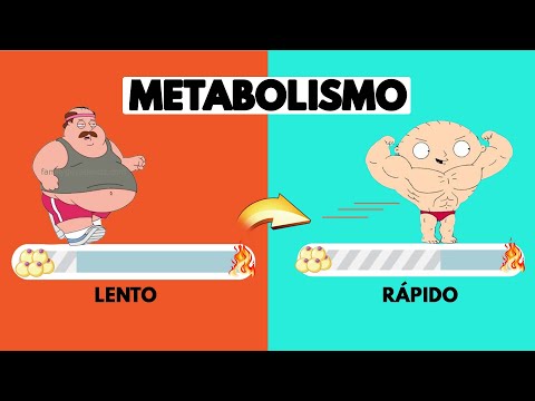 ¿Qué pasa si aceleras tu metabolismo?