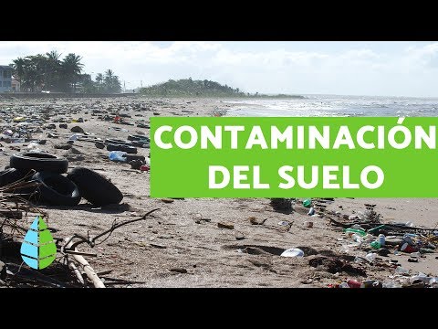 ¿Qué pasa si chupas el suelo? Consecuencias y riesgos de esta acción