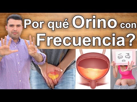 ¿Qué pasa si orino mucho últimamente?