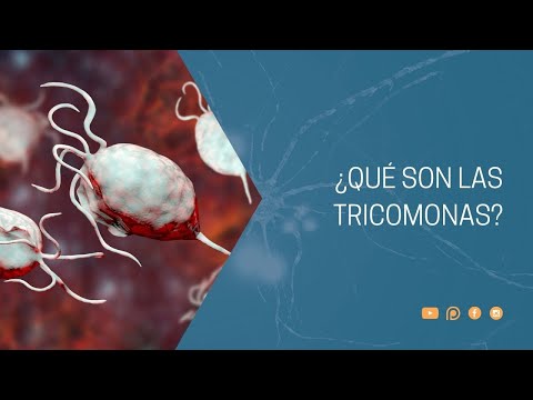 ¿Qué pasa si no se trata la tricomoniasis?