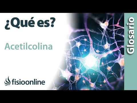 ¿Qué pasa si se inhibe la acetilcolinesterasa?