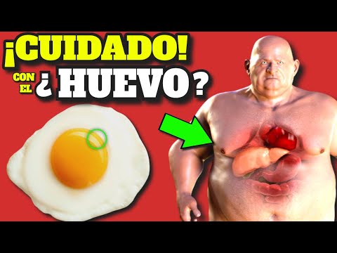 ¿Qué pasa si como huevo todos los días?