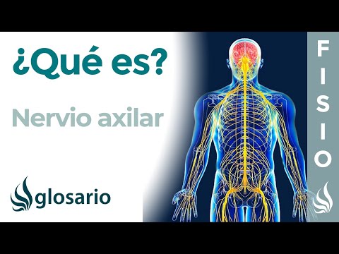 ¿Qué pasa si siento dolor en la axila?